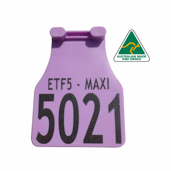 ETF5 - Maxi