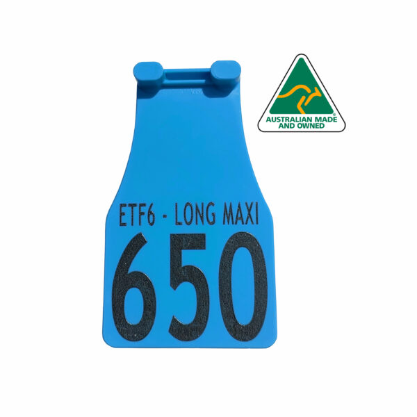 ETF6 - Long Maxi